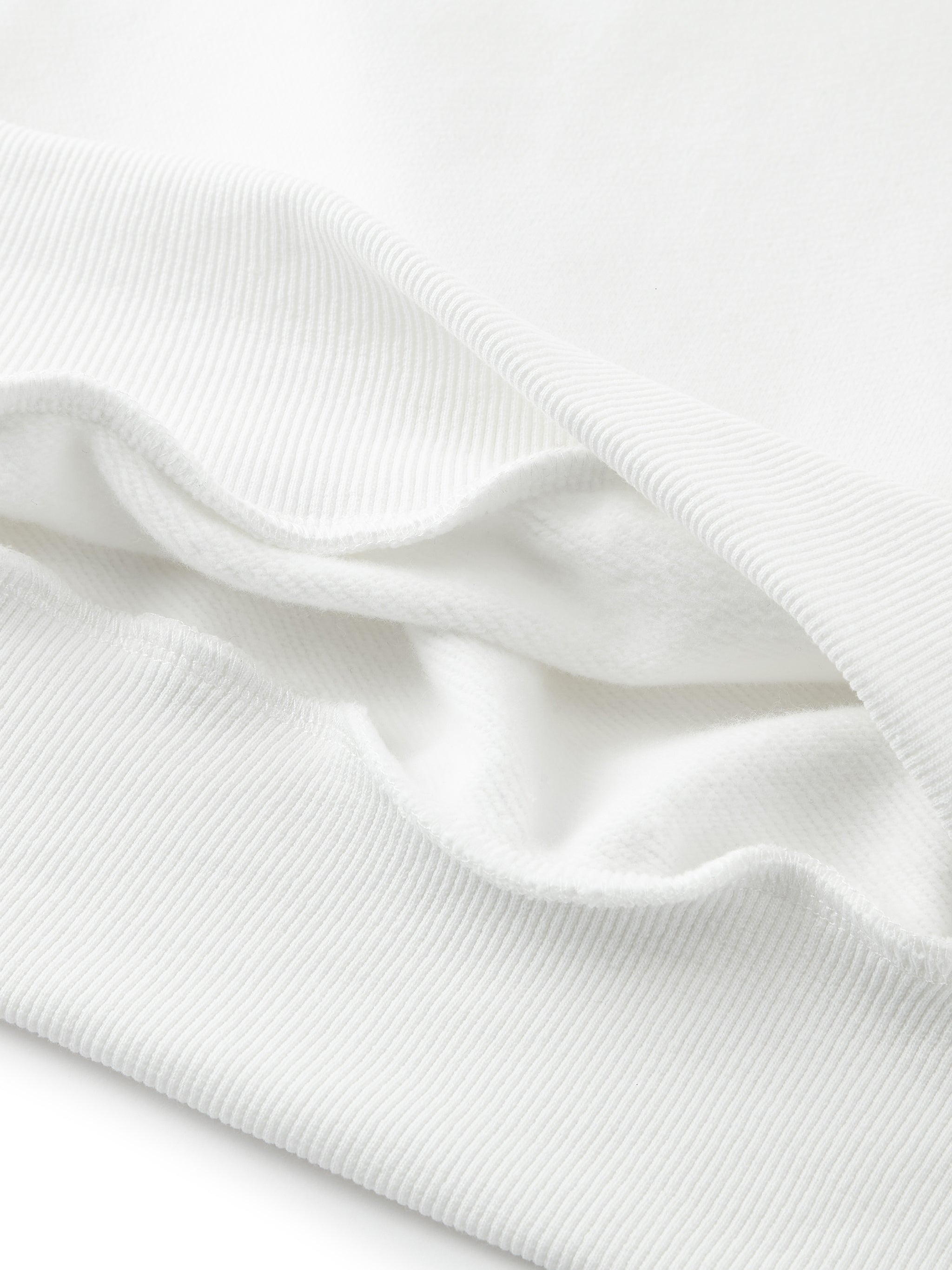 GTR "Raptors" Hidden Pocket Fleece Hoodie